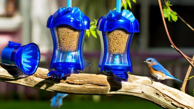 best mealworm feeders for breeding