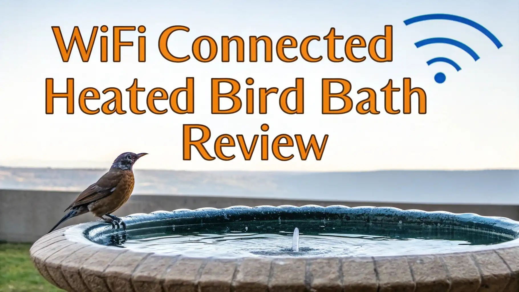 WiFi Connected Heated Bird Bath Review