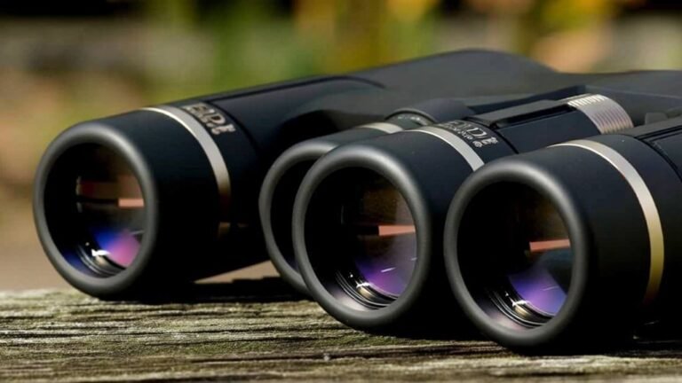 top ed binoculars recommendations