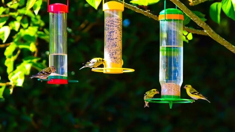 top finch tube feeders