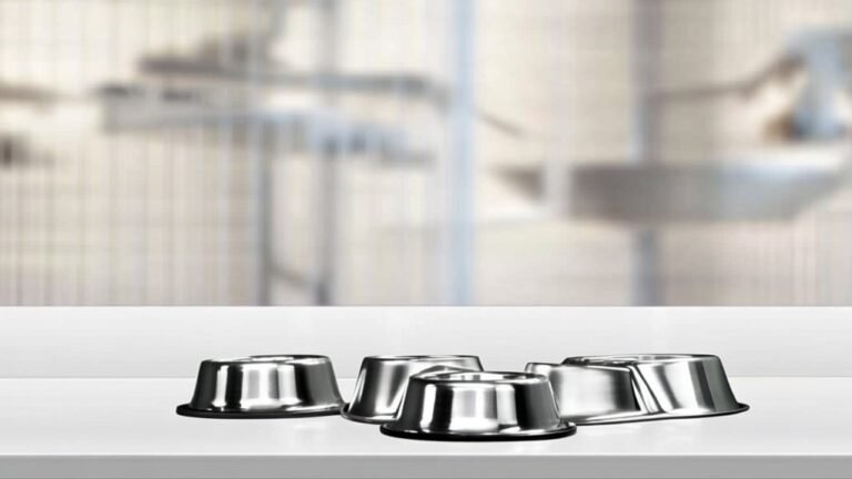 top stainless steel cage feeders