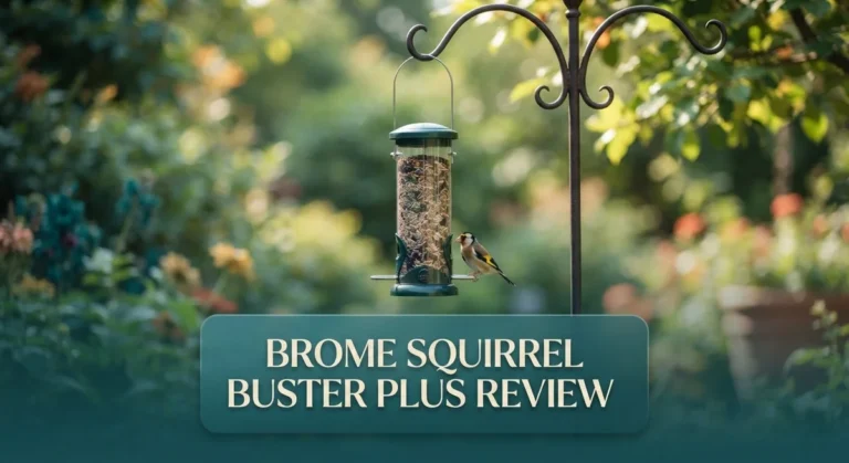 Brome Squirrel Buster Plus Review: Effective Squirrel-Proof Bird Feeder