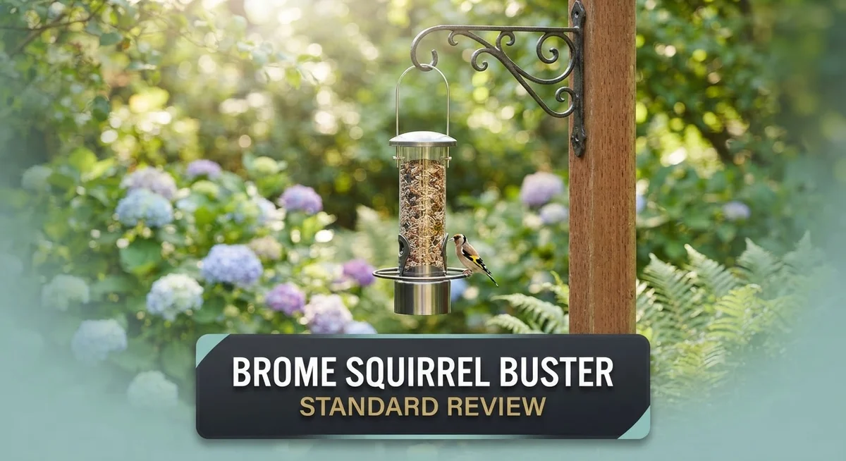 Brome Squirrel Buster Standard Review: Weight-Activated Bird Feeder