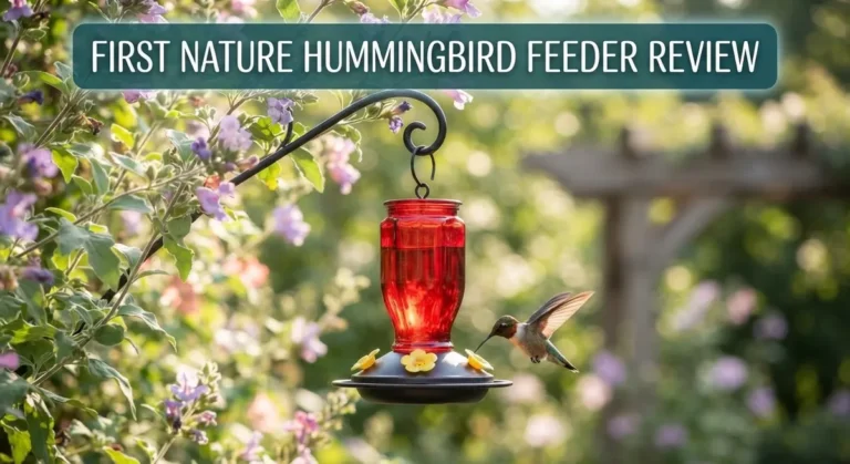 First Nature Hummingbird Feeder Review: Design, Performance & Durability